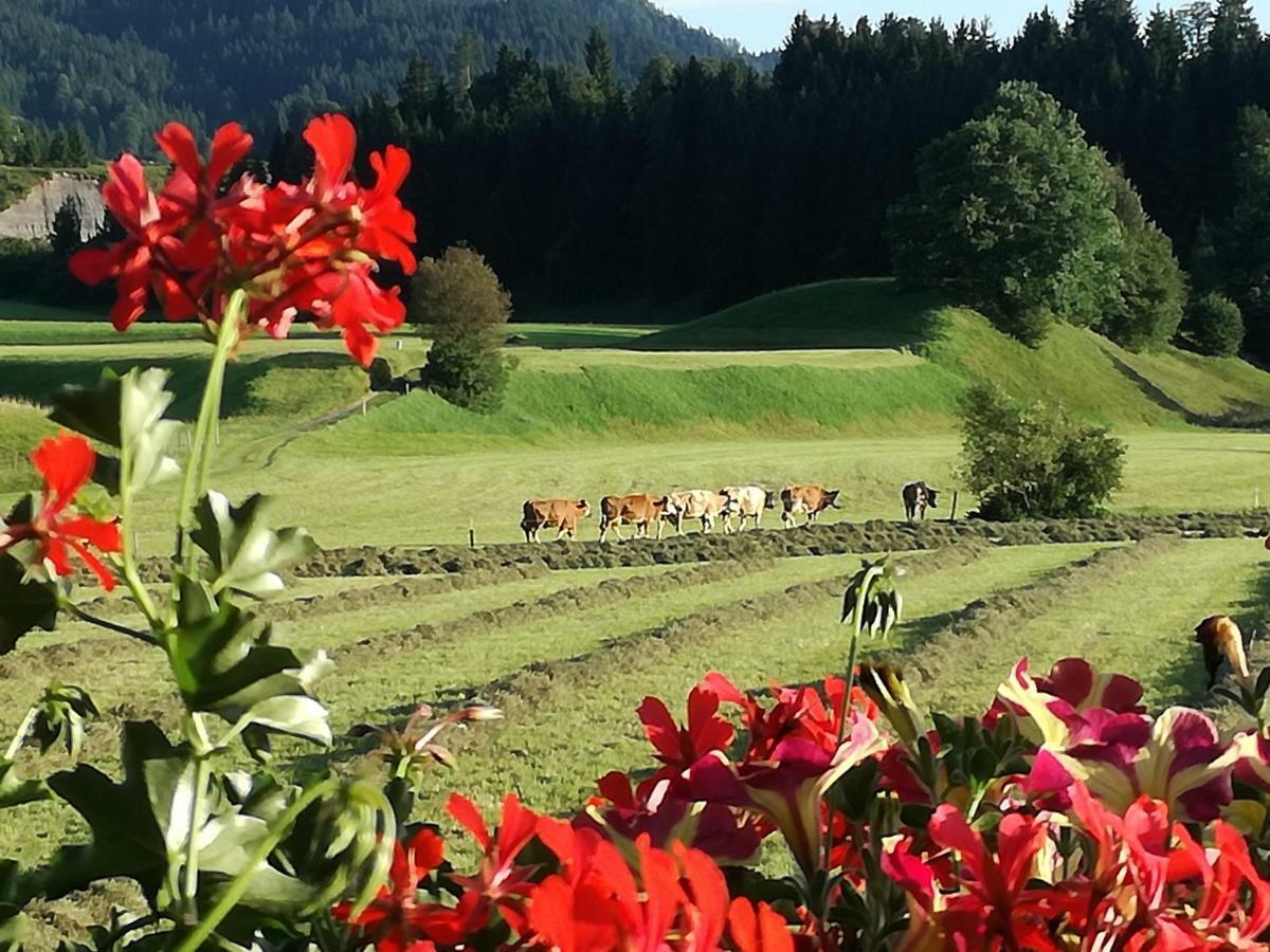 Gaestehaus Gruenbacher Kössen 外观 照片